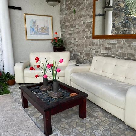 Casa Palmera Burgos Cuernavaca 테믹스코 외부 사진